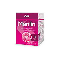 GS Merilin, 4 × 60 tablet