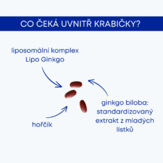 GS Lipo Ginkgo paměť+ 60 mg, 90 kapslí