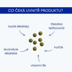 GS Anxiolan s levandulí, 60 tablet
