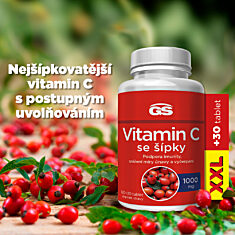 GS Vitamin C 1000 se šípky, 120+30 tablet XXL