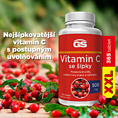 GS Vitamin C 500 se šípky, 365 tablet XXL
