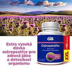 GS Ostropestřec 6500 mg, 70+30 tablet XXL