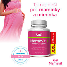 GS Mamavit 1 Plánování a 1. trimestr, 90+20 tablet XXL