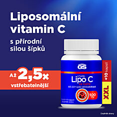 GS Vitamin Lipo C 500 mg se šípky, 100+10 kapslí XXL
