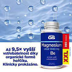 GS Magnesium citrát 1340 mg + B6, 365 tablet XXL