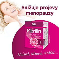 GS Merilin, 4 × 60 tablet
