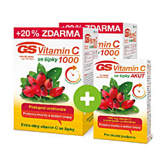 GS Vitamin C 1000 se šípky 2 × 120 tablet