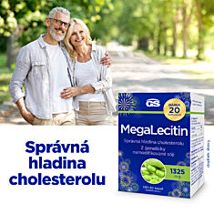 GS Megalecitin 1325 mg, 2 × 130+20 kapslí NAVÍC, dárkové balení
