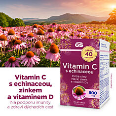 GS Vitamin C500 s echinaceou, 70+40 tablet NAVÍC, dárkové balení