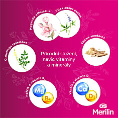 GS Merilin, 4 × 60 tablet