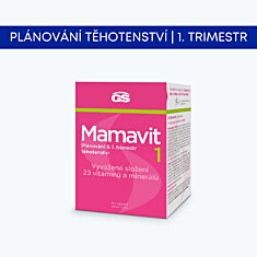 GS Mamavit 1 Plánování a 1. trimestr, 90 tablet