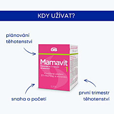 GS Mamavit 1 Plánování a 1. trimestr, 90 tablet