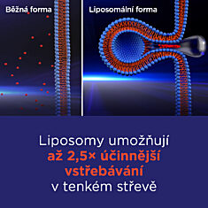 GS Vitamin Lipo C 500 mg se šípky, 100+10 kapslí XXL