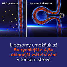 GS Vitamin Lipo D3 1000 IU, 60+20 kapslí XXL
