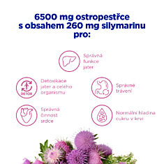 GS Ostropestřec 6500 mg, 60+20 tablet NAVÍC, dárkové balení