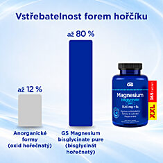 GS Magnesium bisglycinate PURE 1000 mg + B6, 365 tablet XXL