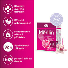 GS Merilin, 4 × 60 tablet