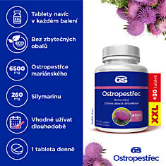 GS Ostropestřec 6500 mg, 70+30 tablet XXL