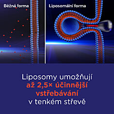 GS Vitamin Lipo C 500 mg se šípky, 4 × 100 kapslí