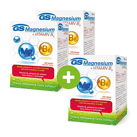 GS Magnesium s vitaminem B6, 100 tablet - 2+1 ZDARMA