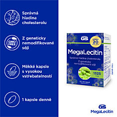 GS Megalecitin 1325 mg, 2 × 130+20 kapslí NAVÍC, dárkové balení