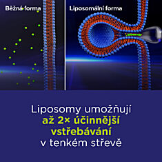 GS Lipo Ginkgo paměť+ 60 mg , 90+15 kapslí NAVÍC, dárkové balení