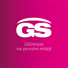 GS Merilin, 4 × 60 tablet
