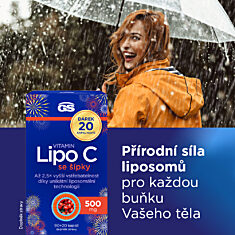 GS Vitamin Lipo C 500 mg se šípky, 90+20 kapslí NAVÍC, dárkové balení