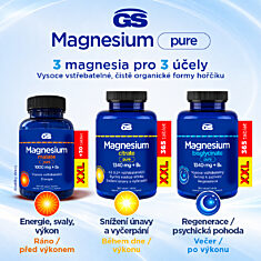 GS Magnesium bisglycinate PURE 1000 mg + B6, 365 tablet XXL