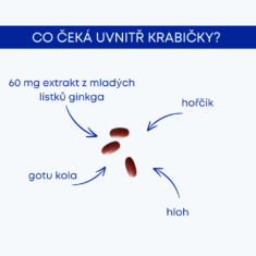 GS Lipo Ginkgo paměť+ 60 mg, 60 kapslí