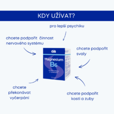 GS Magnesium s vitaminem B6, 400 tablet