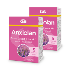 GS Anxiolan s levandulí, 90 tablet