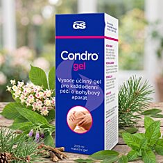 GS Condro® gel, 200 ml