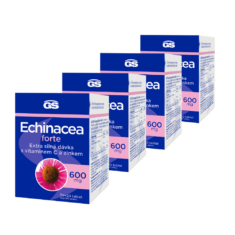 GS Echinacea Forte 600, 4 × 90 tablet