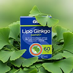GS Lipo Ginkgo paměť+ 60 mg, 2 × 60 kapslí