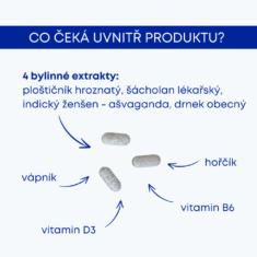 GS Merilin, 60 tablet
