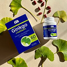 GS Ginkgo 60 mg s hořčíkem, 2 x 60 tablet