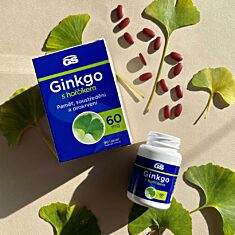 GS Ginkgo 60 mg s hořčíkem, 2 x 90 tablet