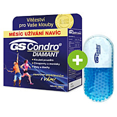 GS Condro® DIAMANT 100+60 tablet, Zlatá edice 2021