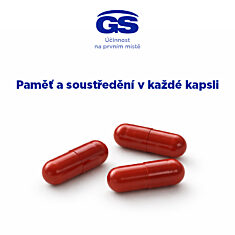 GS Lipo Ginkgo paměť+ 60 mg , 90+15 kapslí NAVÍC, dárkové balení
