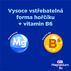 GS Magnesium s vitaminem B6, 100 tablet