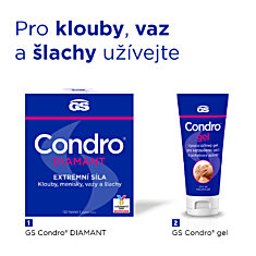 GS Condro® gel, 200 ml