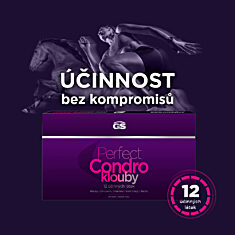 GS Perfect Condro, 60 tablet