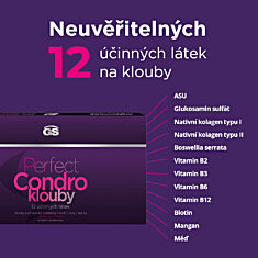 GS Perfect Condro, 60 tablet