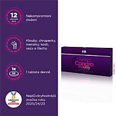 GS Perfect Condro, 60 tablet