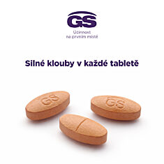 GS Perfect Condro, 60 tablet