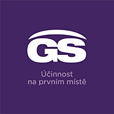 GS Perfect Condro, 60 tablet