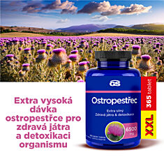 GS Ostropestřec 6500 mg, 365 tablet XXL