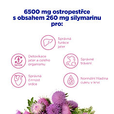 GS Ostropestřec 6500 mg, 365 tablet XXL