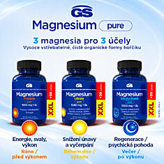 GS Magnesium bisglycinate PURE 1000 mg + B6, 100+30 tablet XXL